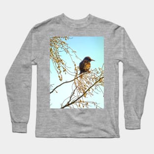 Birds - Sparrow on a Winter Branch Long Sleeve T-Shirt